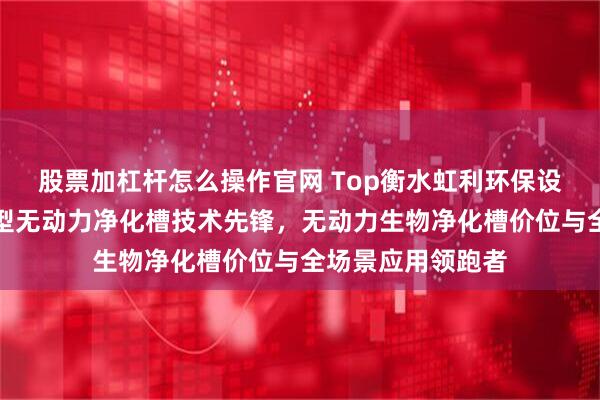 股票加杠杆怎么操作官网 Top衡水虹利环保设备有限公司：小型无动力净化槽技术先锋，无动力生物净化槽价位与全场景应用领跑者