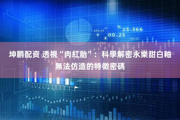 坤鹏配资 透視“肉紅胎”：科學解密永樂甜白釉無法仿造的特徵密碼