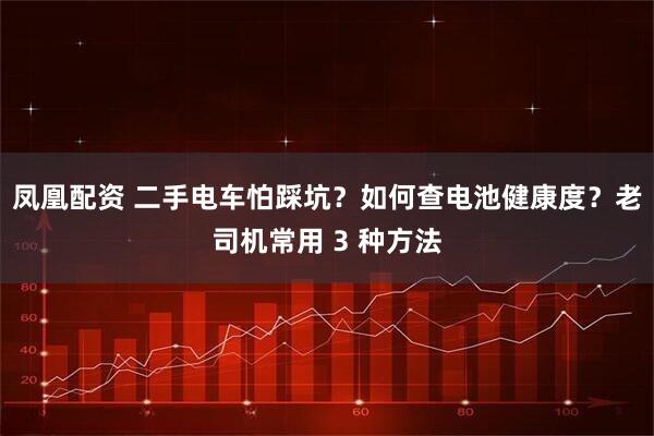 凤凰配资 二手电车怕踩坑？如何查电池健康度？老司机常用 3 种方法
